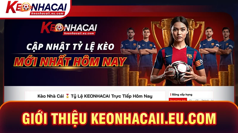 Giới thiệu heusel.tv - Trang dũ liệu bóng đá toàn diện 2026